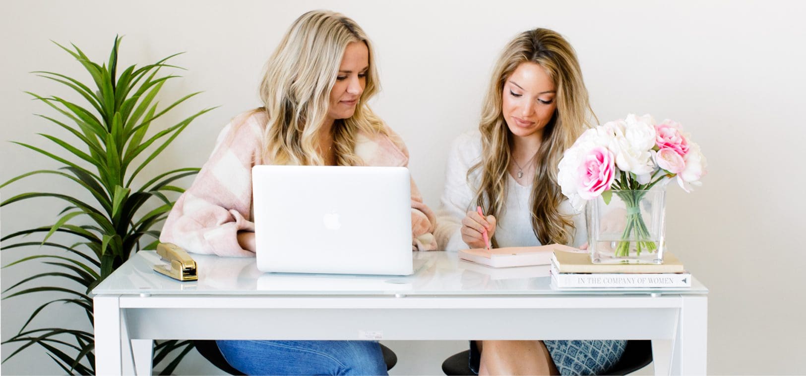 social media agency