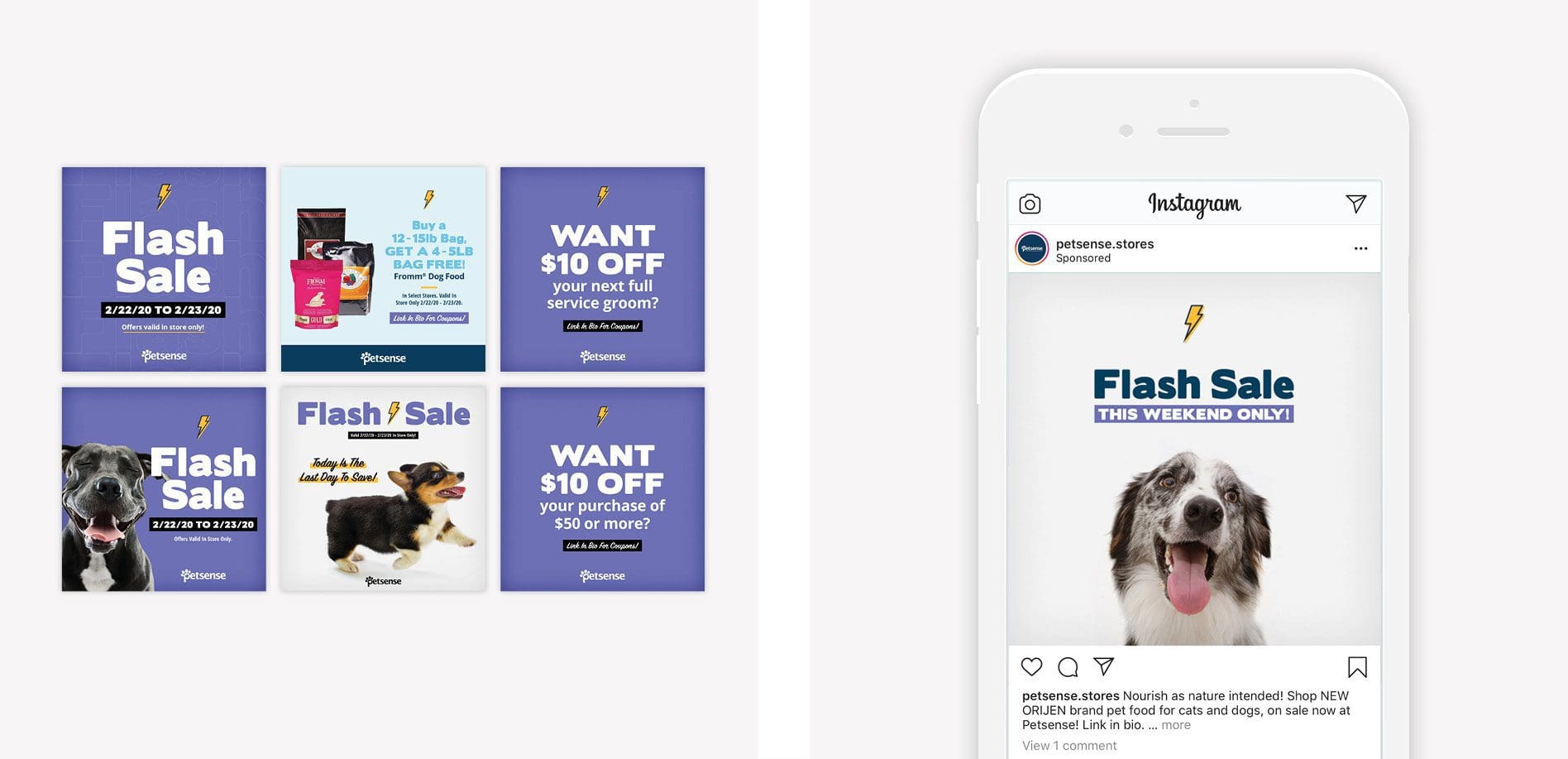pet retail marketing social media