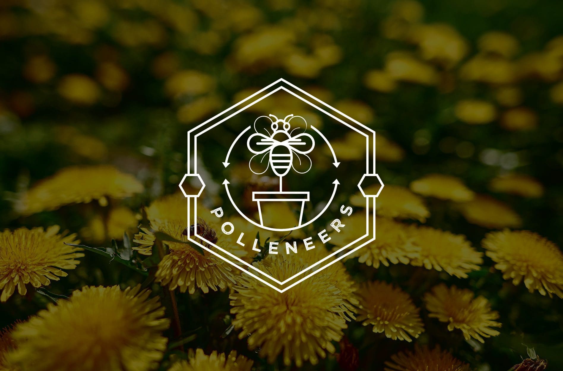 business branding nashville