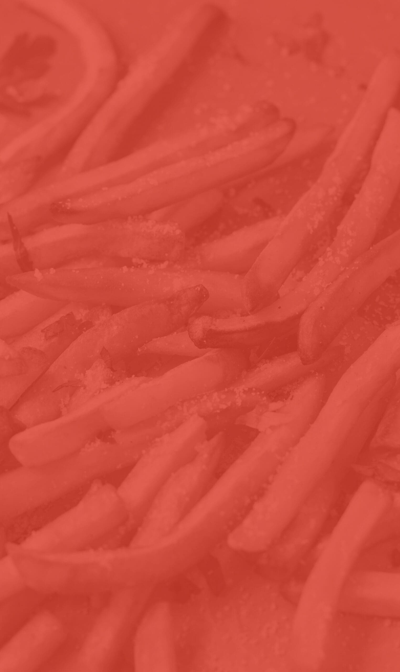 Bag Lady's Fry Joint Restaurant Branding Company